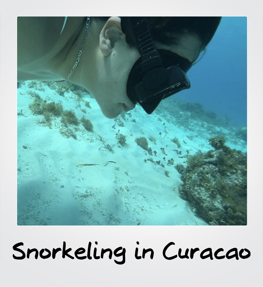 Snorkeling in Curacao