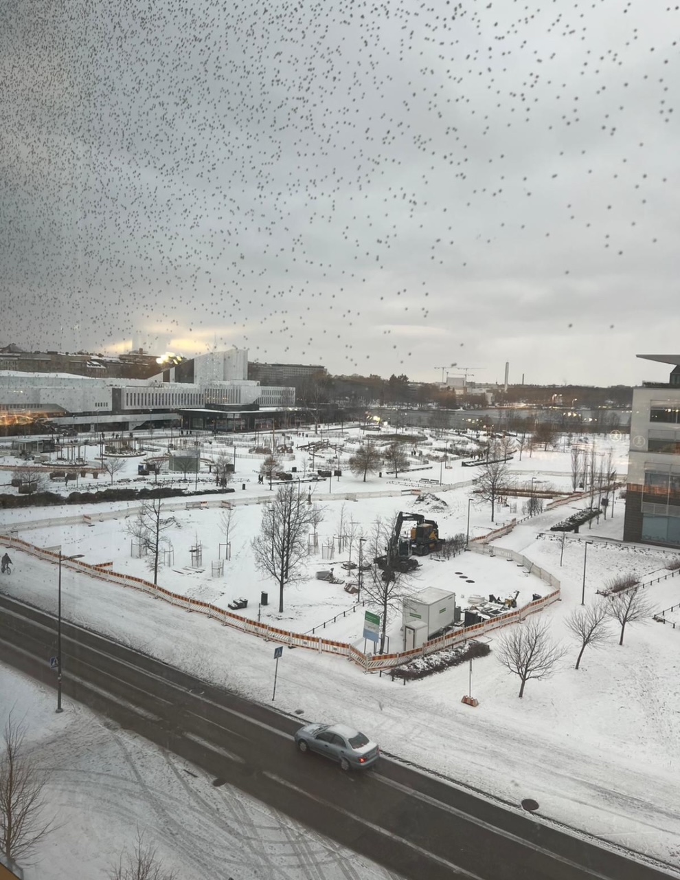 Finland Snow Birds